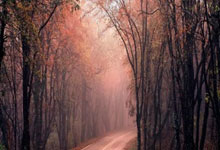 奇异果体育：曝王钰栋去年险些留洋德国！因全运会搁浅 名宿惋惜：20岁后就难了.