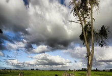 奇异果体育：时间 2025-03-05点击量：1055.