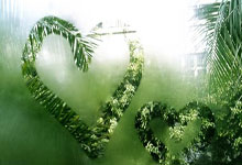 “雄鹿队与米德尔顿达成续约协议，确保核心阵容稳定”.