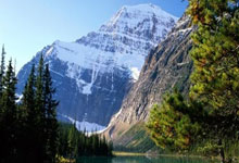 “雄鹿队与米德尔顿达成续约协议，确保核心阵容稳定”.