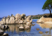 奇异果体育：足协杯-武磊帽子戏法 上海海港3-0津门虎晋级四强.